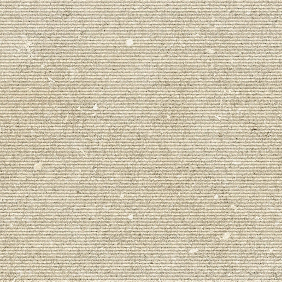 (SAMPLE) ORLA LIGHT HORIZON 120*270