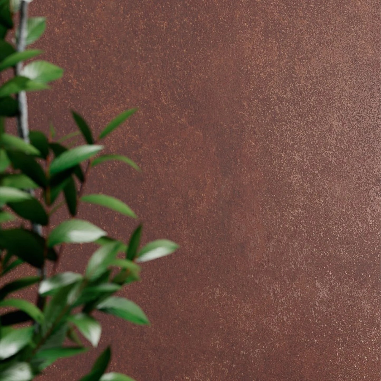 FIORA CORTEN 8*60