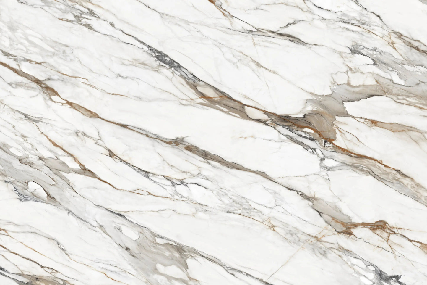 BLANC BORGHINI 320*160
