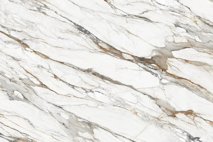 BLANC BORGHINI 320*160