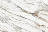 BLANC BORGHINI 320*160