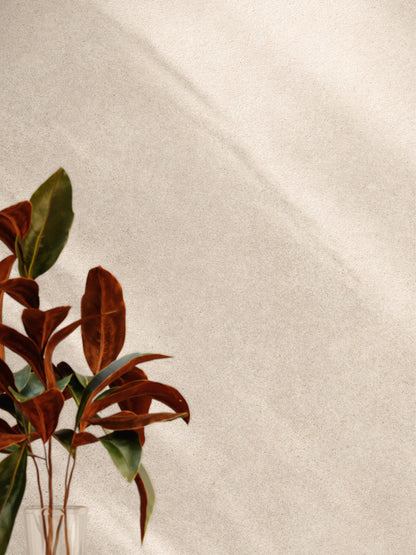 SERENA TAUPE 60*60