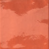 BOTEGGA LUCIDE Arancio 15*15