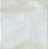 BOTEGGA LUST Acqua 15*15