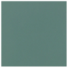 CROMA LEAF 15*15