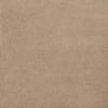 HARMONY TAN 120*60