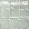 ALTIVITA MATCHA 8*15 GLOSS