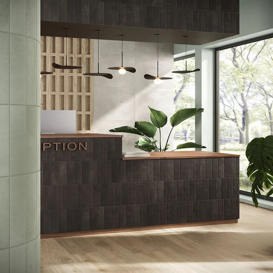 CERETTO NERO INCHIOSTRO 6*24 MATT