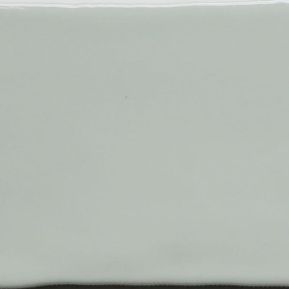 OASIS OLIVE 8*15 GLOSS