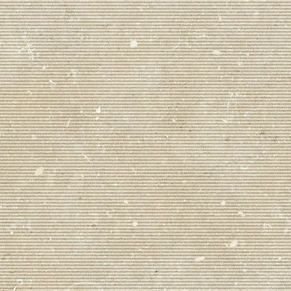 ORLA LIGHT HORIZON  120*270