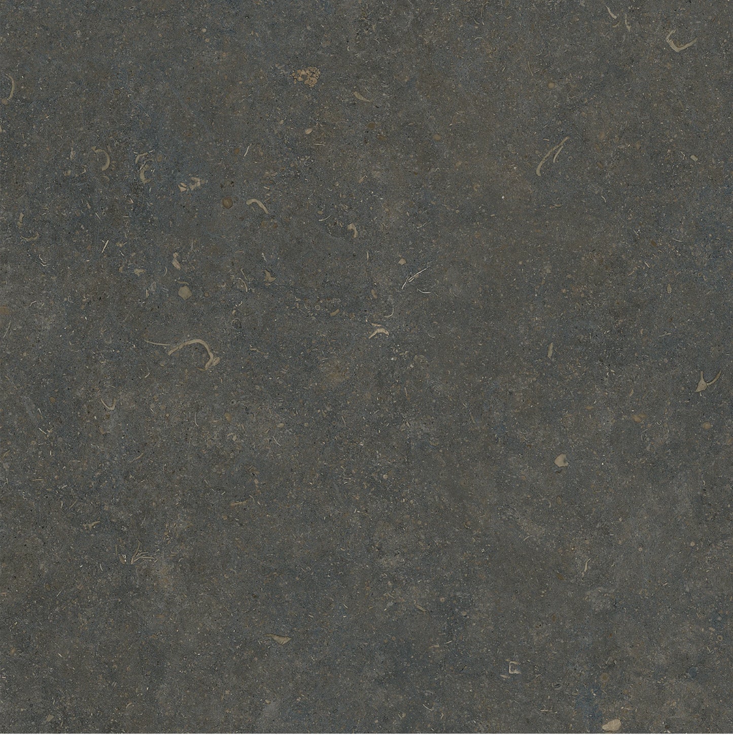 ORLA CLASSIC SOFT TEXTURE 60*60