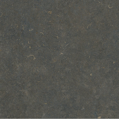 ORLA CLASSIC SOFT TEXTURE 60*60