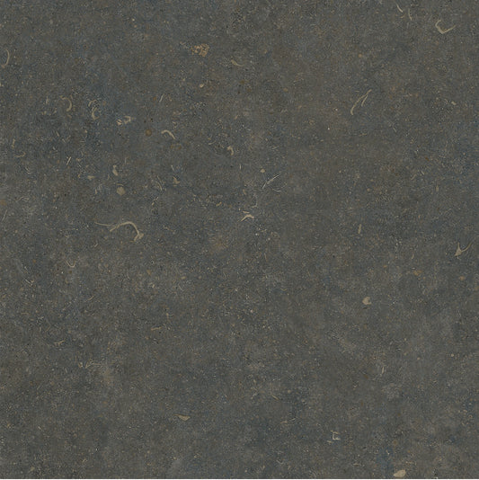 ORLA CLASSIC SOFT TEXTURE 60*60