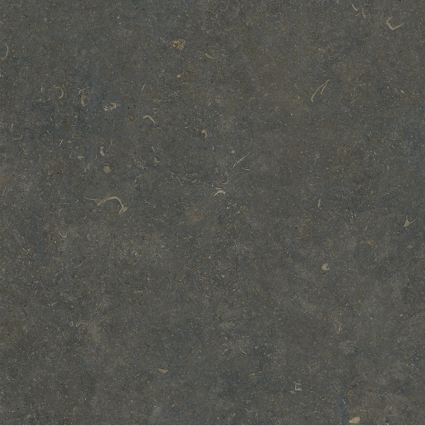 (SAMPLE) ORLA CLASSIC SOFT TEXTURE 60*60