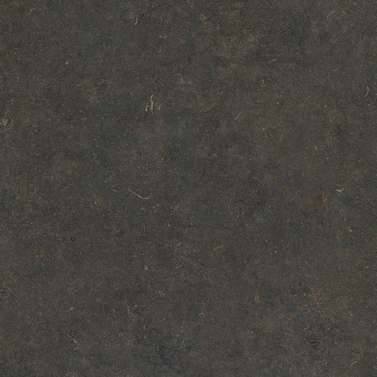 ORLA CLASSIC HONED 320*160