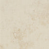 REGALIA LIGHT LOOP 60*120