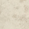 REGALIA LIGHT HONED 320*160
