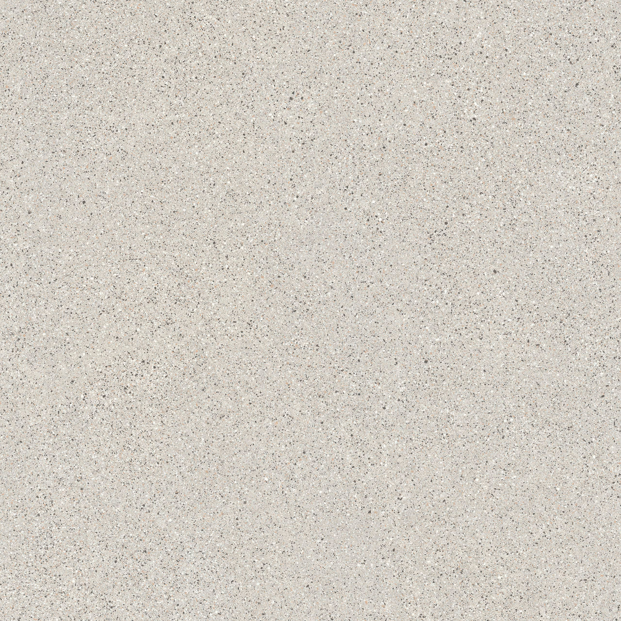 (SAMPLE) ROME CERTOSA 60*120