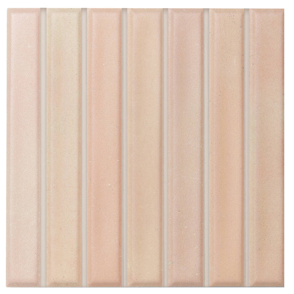 SB BISCUIT MATT 12*12