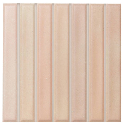 SB BISCUIT MATT 12*12