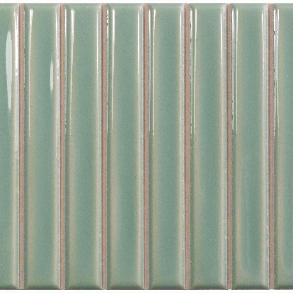 SB FERN GLOSS 13*25