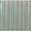 SB FERN GLOSS 13*25