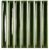 SB OLIVE GLOSS 12*12