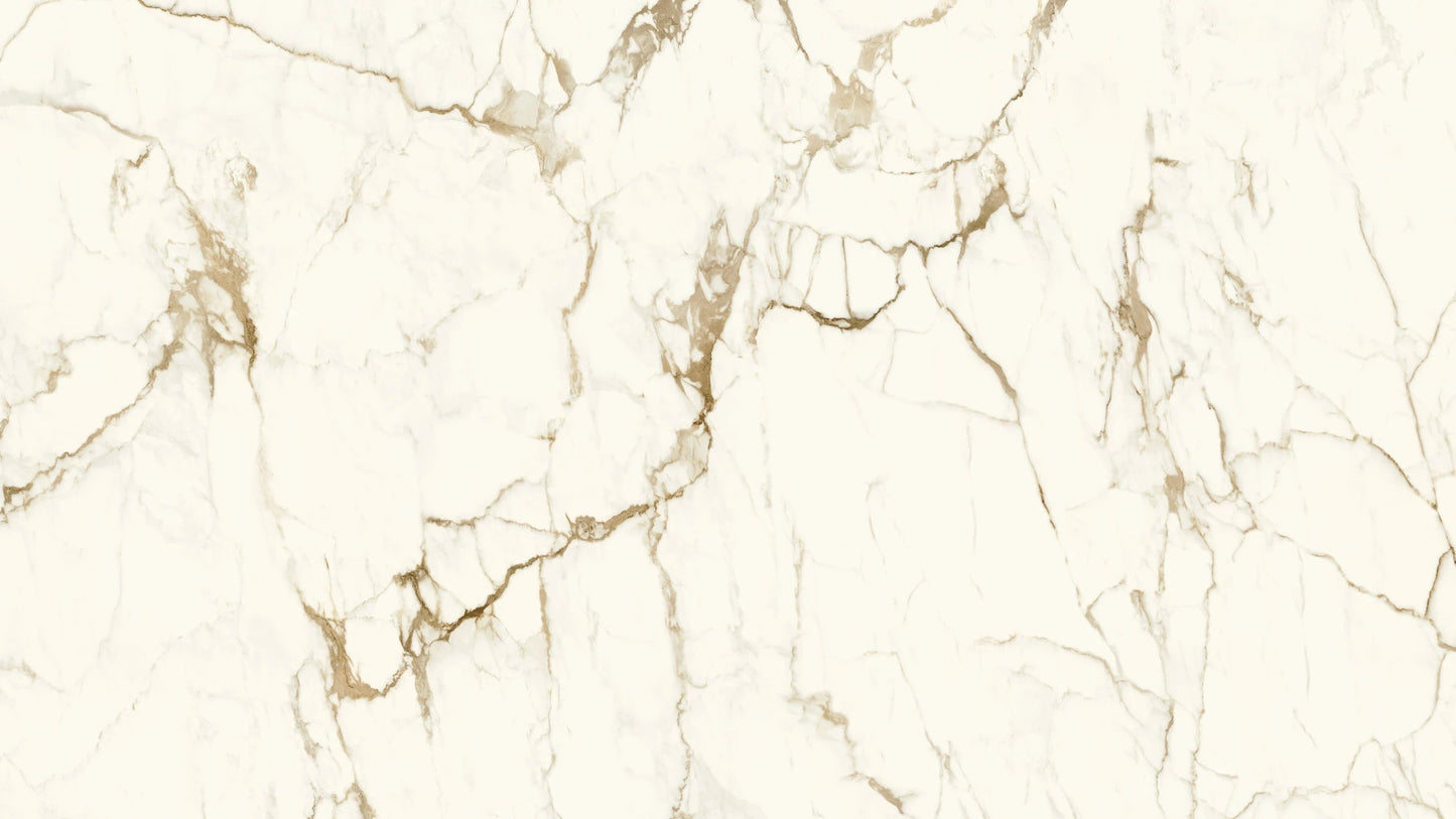 MACCHIA VECCHIA 320*160