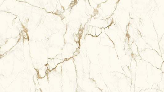 MACCHIA VECCHIA 320*160