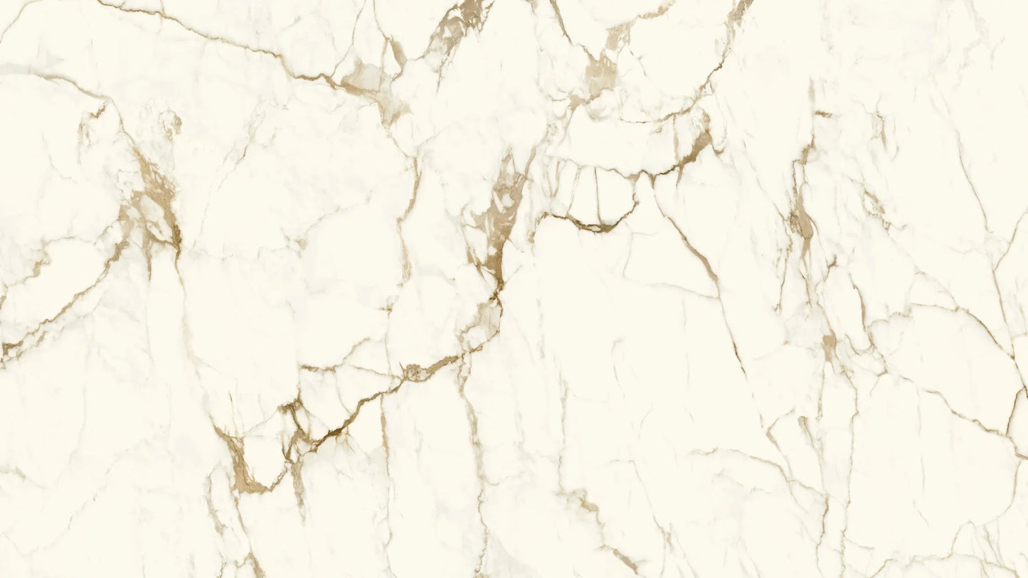 (SAMPLE) MACCHIA VECCHIA 320*160
