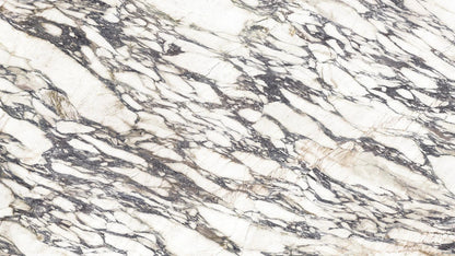 FIOR DI VIOLA 4D 320*160