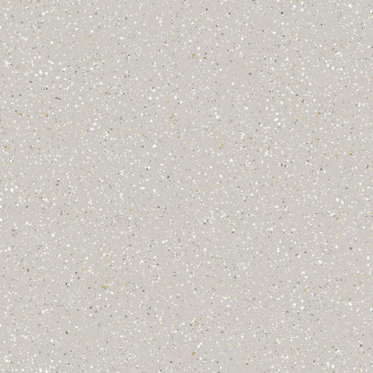 SHELL GRAY 60*60