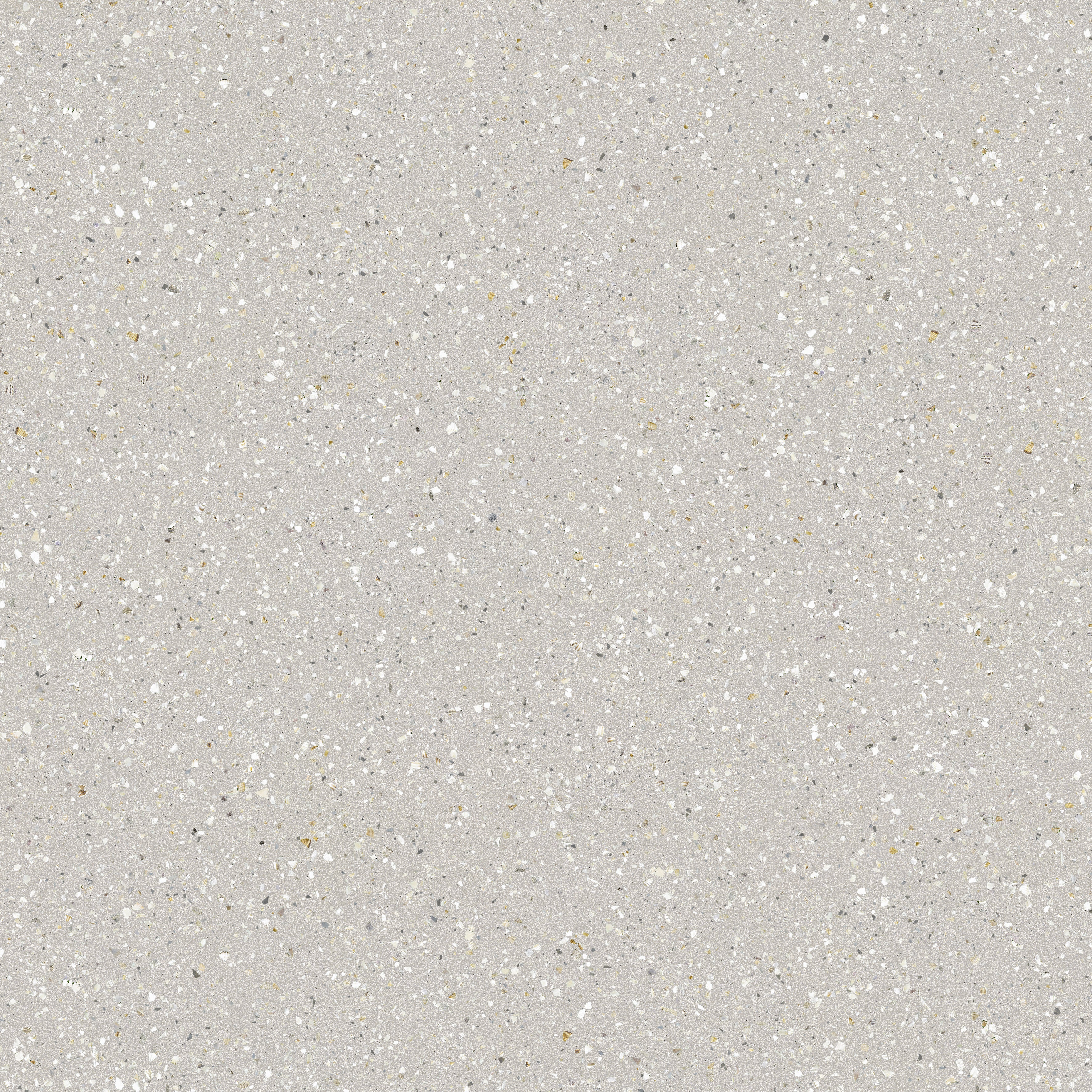 (SAMPLE) SHELL GRAY 60*60 – Riva Ceramica