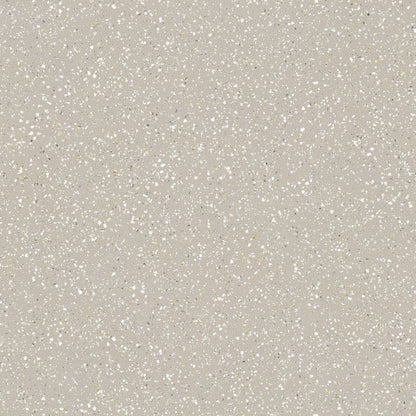 SHELL SAND 60*60