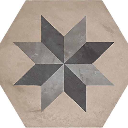 TERRA WINTER STELLA E.F 22*25 MATT