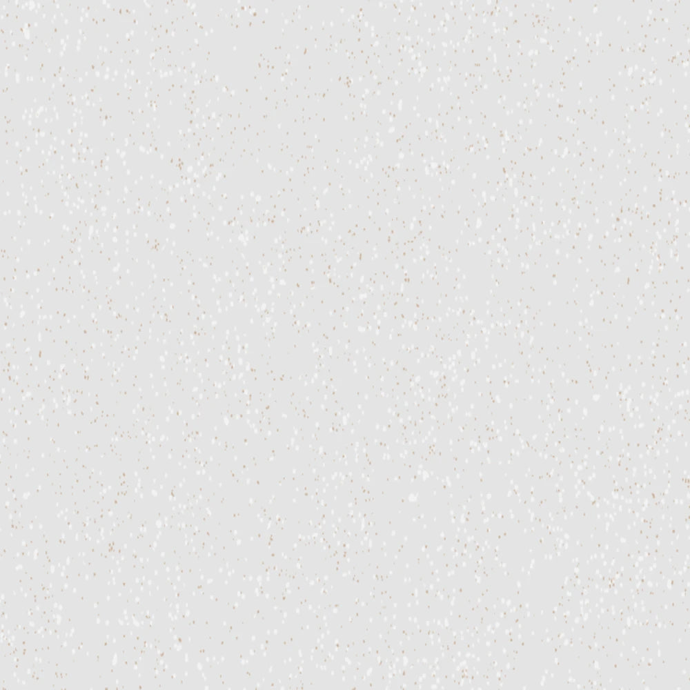 VERO WHITE 6*24 MATT