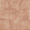 TERRAART COTTO  20*20