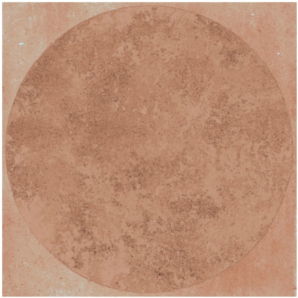 (SAMPLE) TERRAART COTTO DE BOLLI  20*20