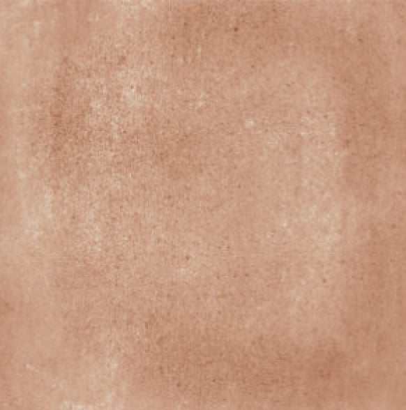 TERRA ART COTTO MATT 60*60