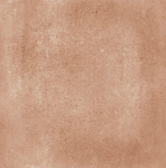 (SAMPLE) TERRA ART COTTO MATT 60*60