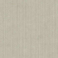 DUC TERRA ELEGANZA BONE REED 60*120