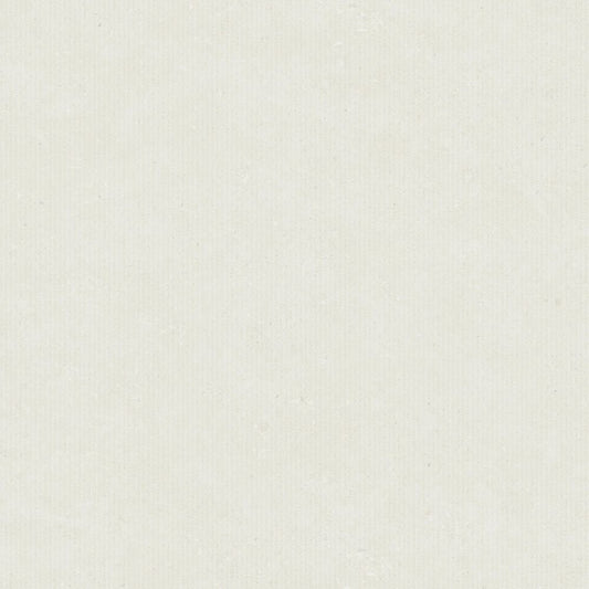 DUC VERA ICE LANE 60*120