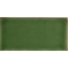 KYOTO MOSS 6*13