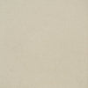 PURE GREIGE 60*60
