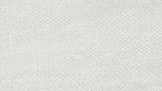 camp army white canvas 10*30