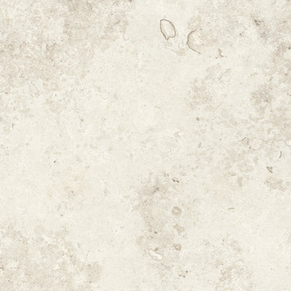 REGALIA ICE SOFT TEXTURE 30*60