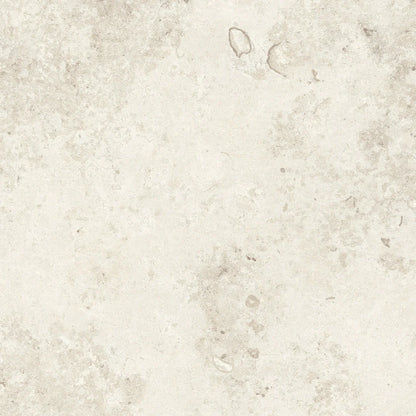 REGALIA ICE SOFT TEXTURE 60*60