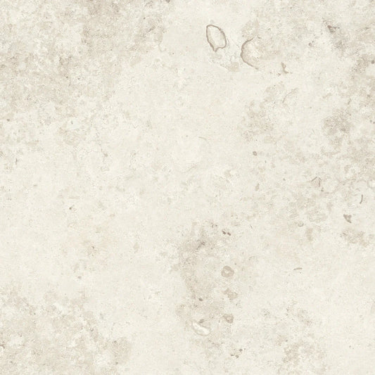 REGALIA ICE SOFT TEXTURE 60*60