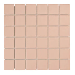 REGENCY  SQUARE BLUSH MATT MOSAIC 31*31