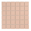 REGENCY  SQUARE BLUSH MATT MOSAIC 31*31